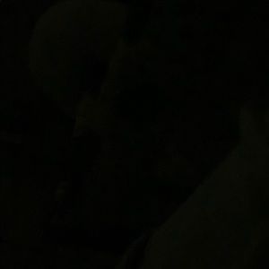 Meet your Posher, Karol